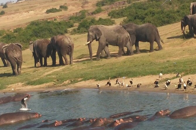 3 Day Safari Tour of Queen Elizabeth National Park in Uganda