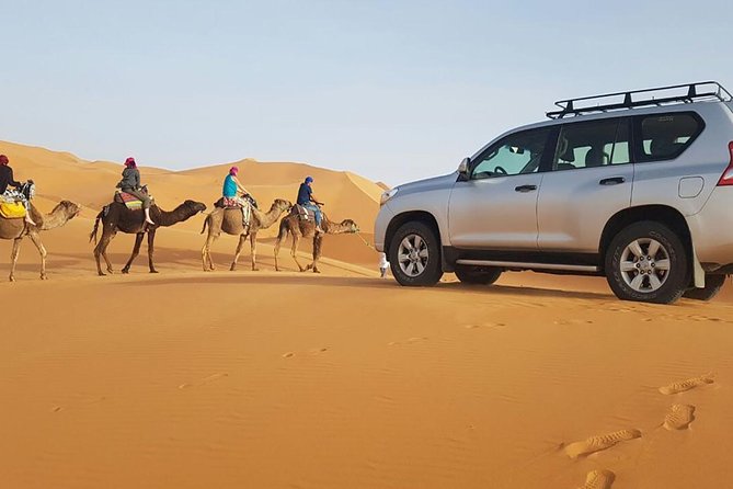 3 Day Shared Group Desert Tour From Marrakech - Tour Highlights