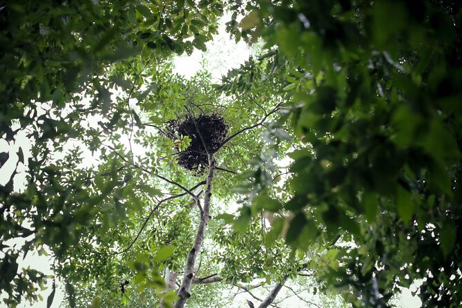 3-Day Survival and Leuser Ecosystem Tour