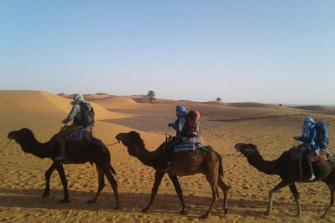 3-Day Tour:Marrakech to Merzouga And Dadès,Erg Chebbi Camel Trek