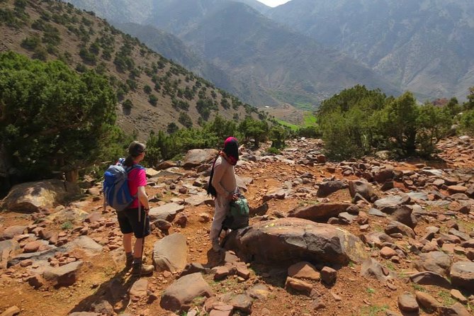 3-Day Trek in Atlas Mountains and Berber Villages & Valleys From Marrakech - Accommodation Details
