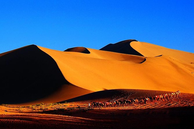 3-Day VIP Silk Road Tour of Dunhuang: Mogao Grottoes, the Great Wall - Inclusions