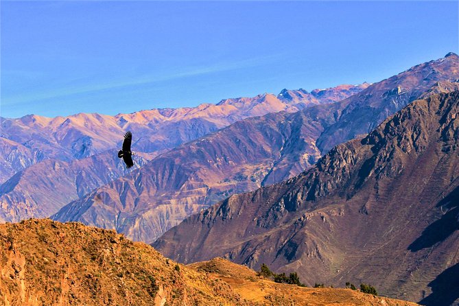 3 Days 2 Nights - Colca Canyon Trek From Arequipa - Accommodation Details