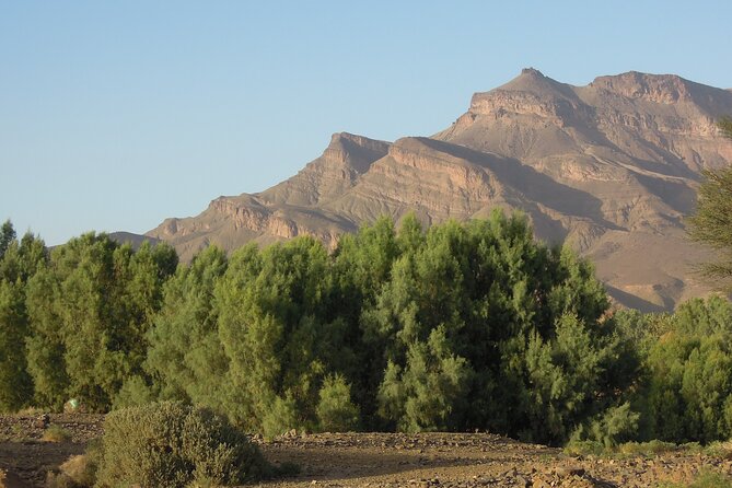 3 Days / 2 Nights Tour to the Sahara and Discovery of the Kasbahs - Private Tour - Tour Highlights