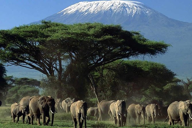 3 Days Amboseli Safari - Meal Inclusions