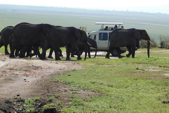 3 Days Amboseli - Meals and Dining Options