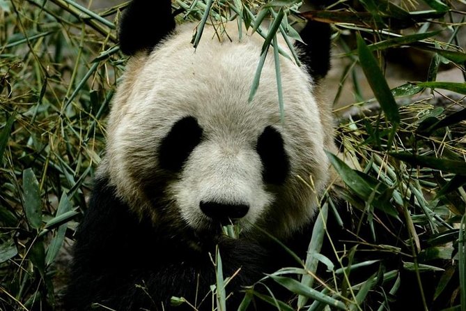 3 Days Beijing Private Tour Combo Package - Tour Inclusions