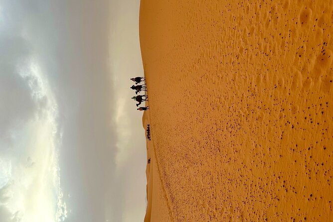 3 Days Desert Tour From Marrakech to Fes - Tour Itinerary