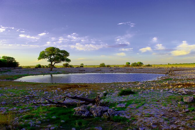3 Days Etosha National Park Private Camping Tour - What To Expect