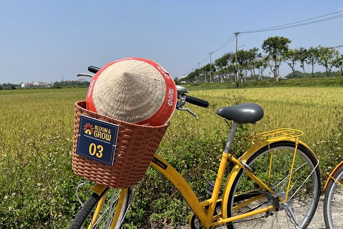 3 Days Explore Culture in an Active Way in Hoi an - Itinerary Highlights