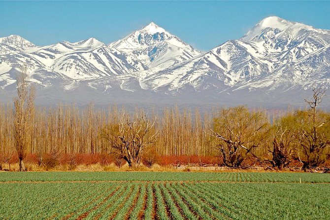 3-Days Getaway for Wine Lovers - Mendoza Experience! - What to Expect From the Experience