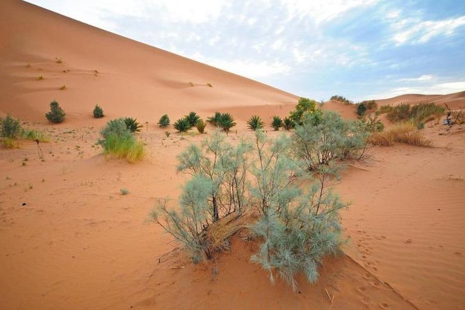 3 Days in the Merzouga Desert From Marrakech to Fes: Luxury Camp - Itinerary Highlights