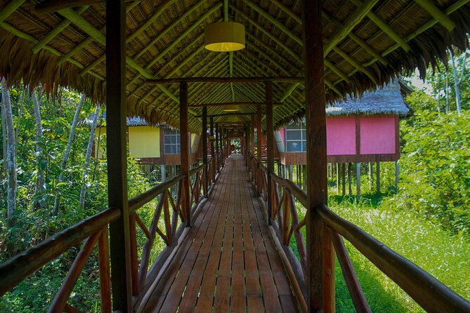 3-Days Iquitos Amazon Jungle Tour at Premium Lodge - Tour Overview