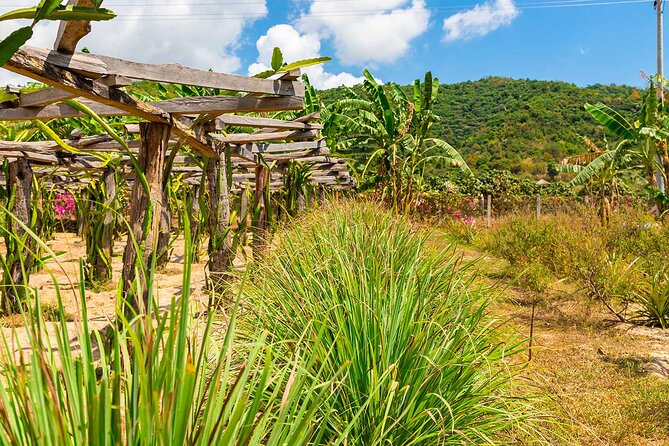 3 Days Kampot & Kep Escape - Day 1: Exploring Kampot