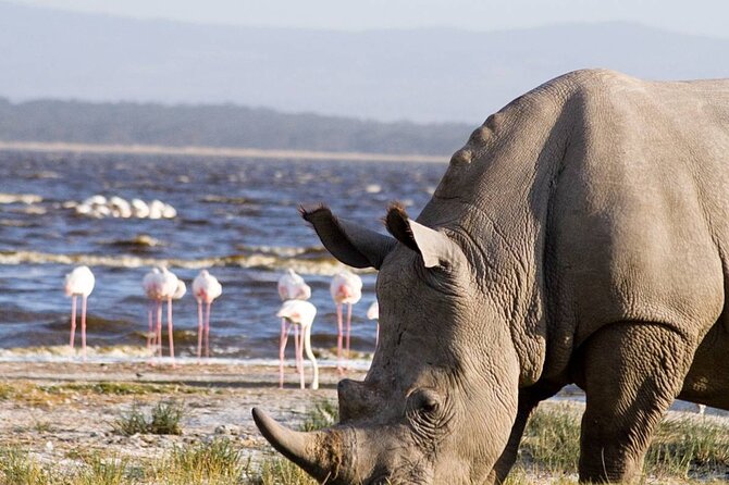 3 Days Lake Nakuru National Park Safari - Accommodation Details