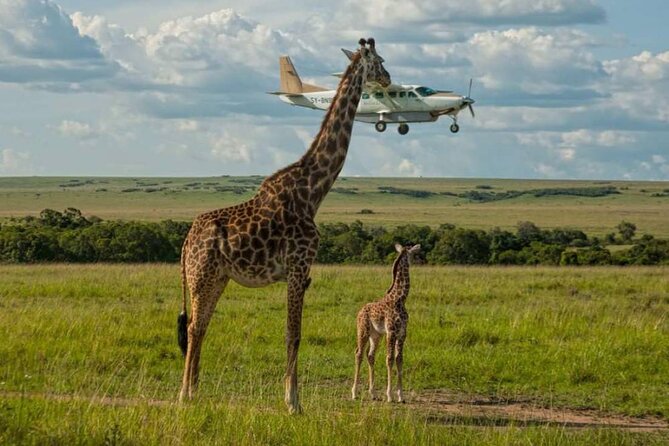 3 Days Maasai Mara Sarova Luxury Safari With a Jeep - Itinerary Overview