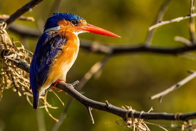 3 Days Murchison Falls Safari (The Greatest Waterfall) - Itinerary Overview