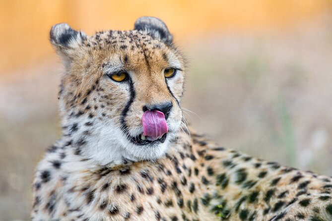 3 Days Ngorongoro Safari - Inclusions and Exclusions
