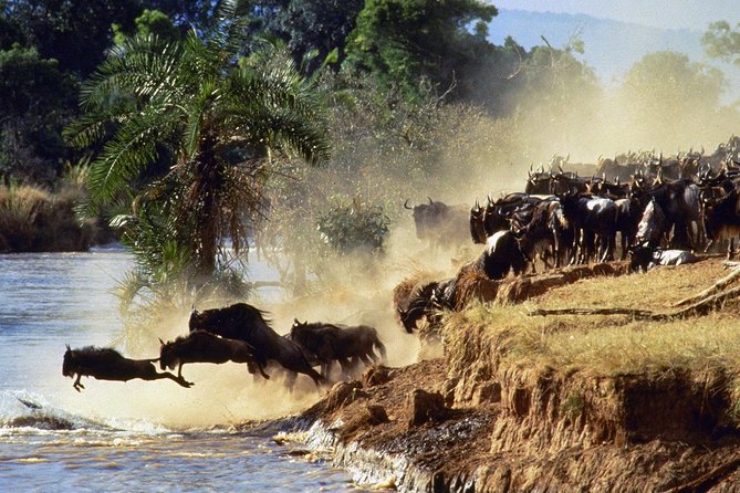 3 Days PRIVATE LUXURY SAFARI to Masai Mara From Nairobi - Accommodation Details