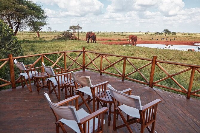 3 DAYS SALTLICK and NGUTUNI SAFARI (Minimum 2 Pax) - Transportation Details