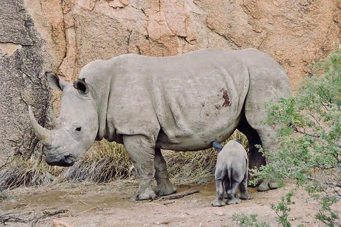 3 Days Serengeti Ngorongoro Crater - Tour Inclusions