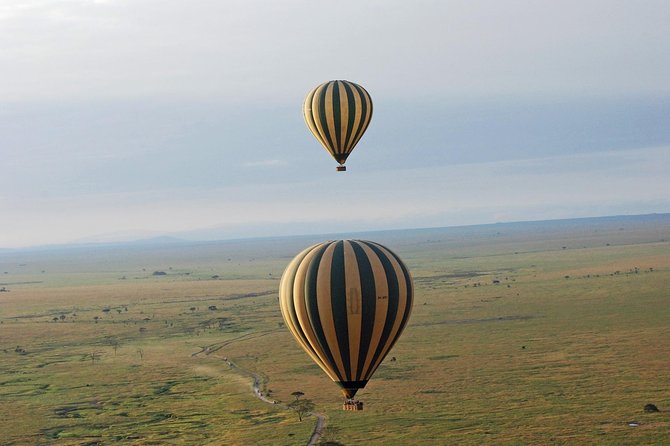 3 Days Tanzania Classic Adventure - Safari Inclusions
