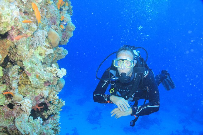 3 Days to Dive PADI Open Water Course Your Underwater Adventure