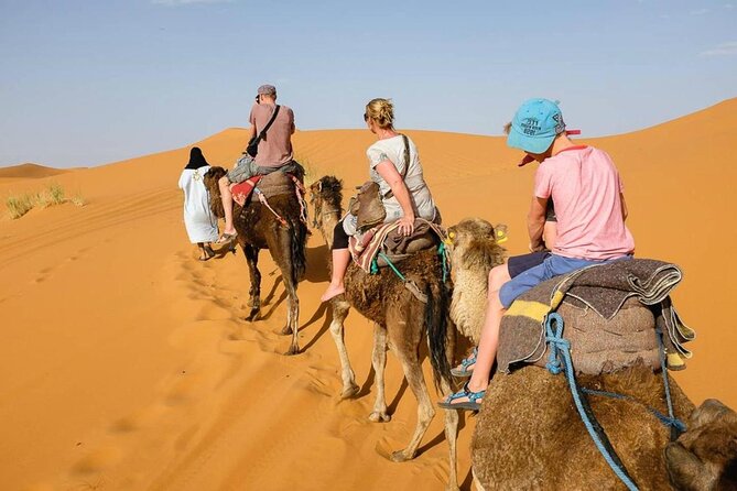3 Days Trip From Marrakech to Fes - Day 2: Dades Gorges to Merzouga