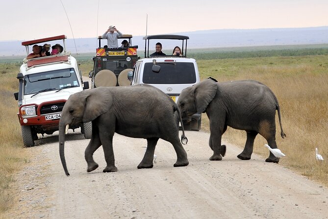 3 Days Tsavo East National Park and Taita Hills Sanctuary on Jeep - Day 1: Tsavo East National Park