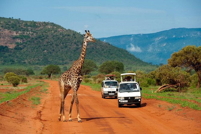 3 Days Tsavo East & Tsavo West Safari ( Minimum 2 Pax) - Inclusions and Exclusions