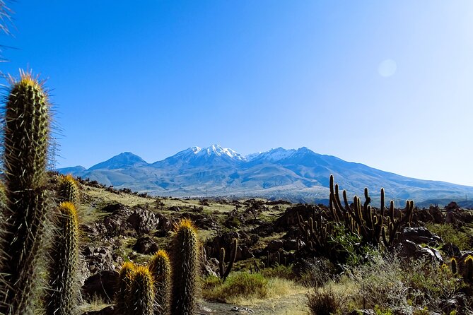 3-Hour Tour by Mountain Bike in Arequipa - Meeting and Pickup Information