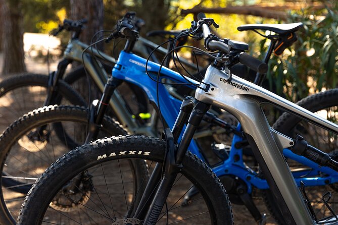 3 Hours E-Bike Tour With Wine Tour at Tenuta La Chiusa - Tour Details