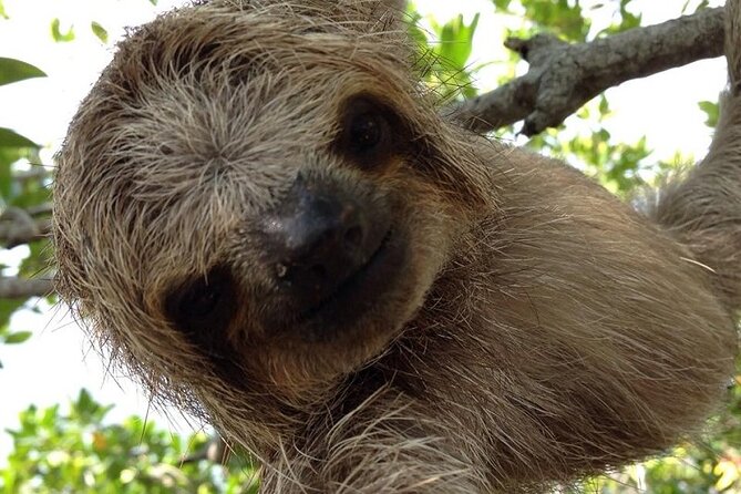 3-Hours Private Tour in Roatan With Pick up - Directions and Operating Hours