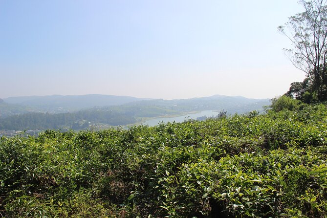 3 Hours Private Walking Tour in Nuwara Eliya With Pickup - Pickup and Meeting Details