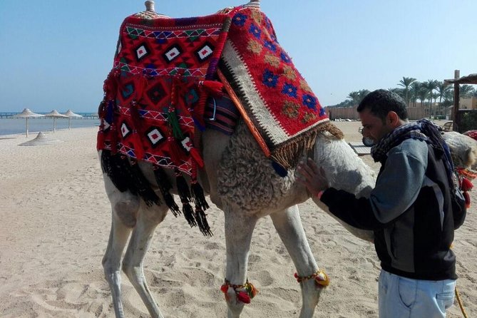 3 Hours Sunrise Safari by Quad Bike & Camel Ride With Transfer- Sharm El Sheikh - Logistics