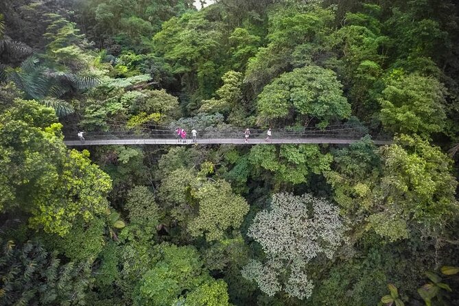 3-in-1 Arenal Hanging Bridges, La Fortuna Waterfall and Volcano Hike - Inclusions