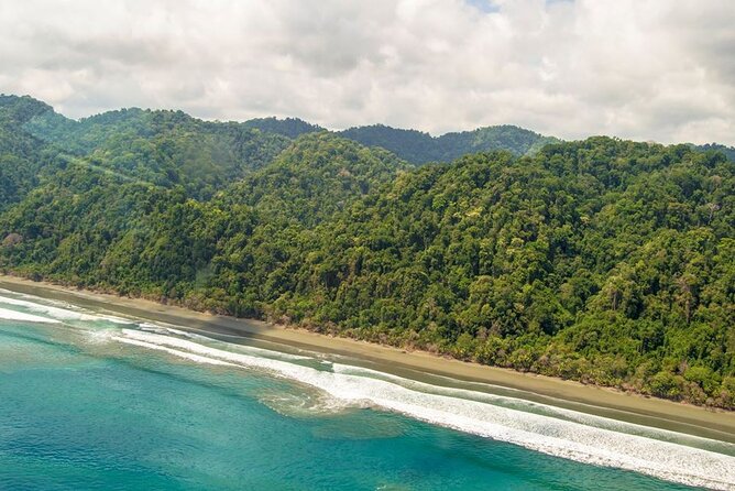 30-minute Corcovado National Park Tour by Plane - Booking Information