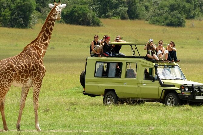 3Day Amboseli National Park Budget Safari on 4x4 Landcruiser Jeep - Whats Included