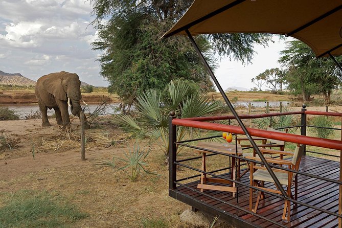 3days Maasai Mara Safari Joining a Group - Lowest Price Guarantee