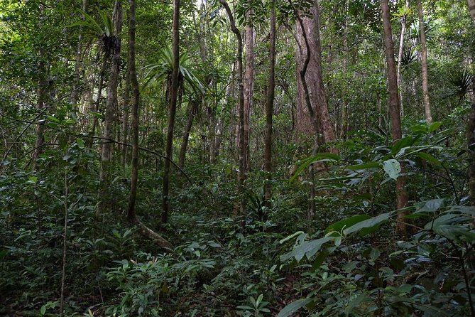 4 Day Adventure in Masoala National Park From Antananarivo - Itinerary Highlights