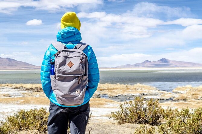 4-Day Atacama Highlights - Geysers, Lagoons and Valleys - Daily Itinerary Breakdown