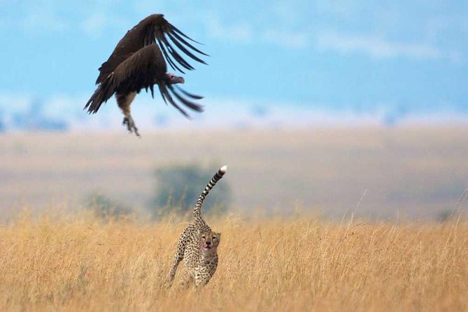 4 Day Camping Tarangire, Serengeti & Ngorongoro Crater - Group Joining Tour - Itinerary Overview