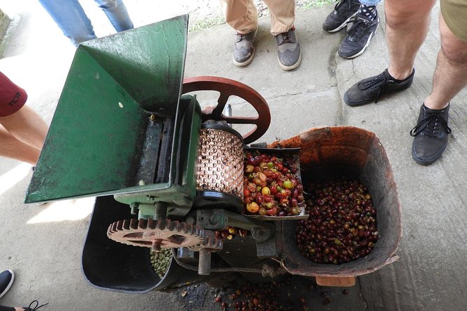 4-Day Colombian Coffee Region Small Group Tour - Itinerary Overview