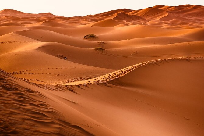 4 Day Fes Trip to Merzouga Tour - Meal Inclusions