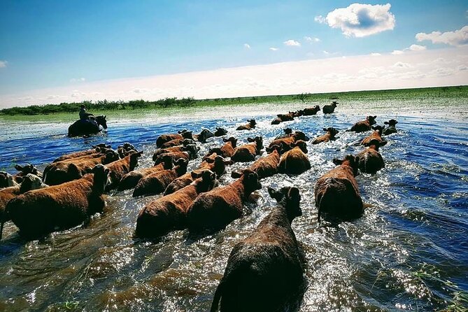 4-Day Private Hiking and Horseback Riding Tour in Corrientes - Accommodation and Meals