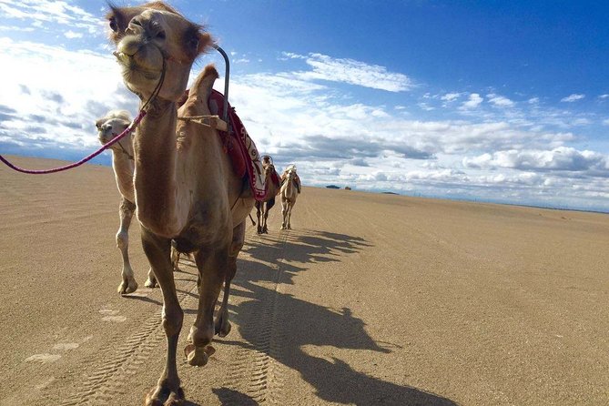 4-Day Private Tour of Dunhuang With Accommodation - Pickup and Schedule Details