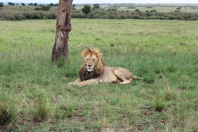 4-Day Safari Tour to Serengeti and Ngorongoro From Arusha