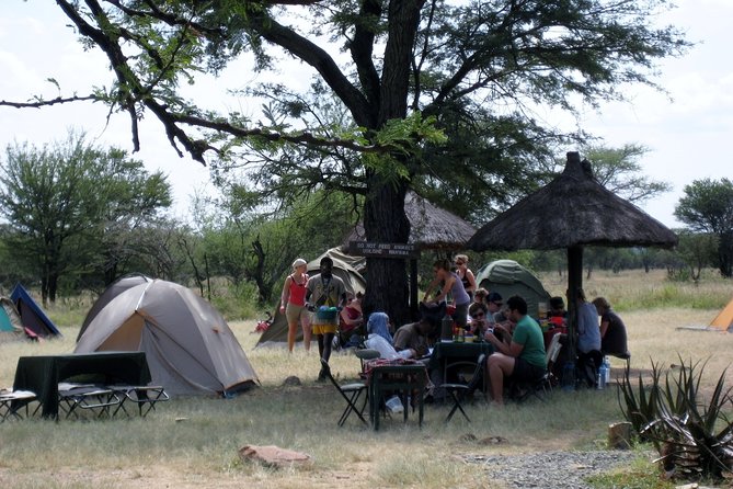 4-Day Tanzania Best Camping Safari: Lake Manyara, Serengeti & Ngorongoro Crater