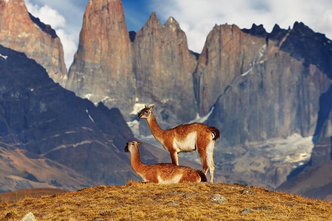 4-Day Trekking Experience at Torres Del Paine From Puerto Natales - Inclusions and Amenities