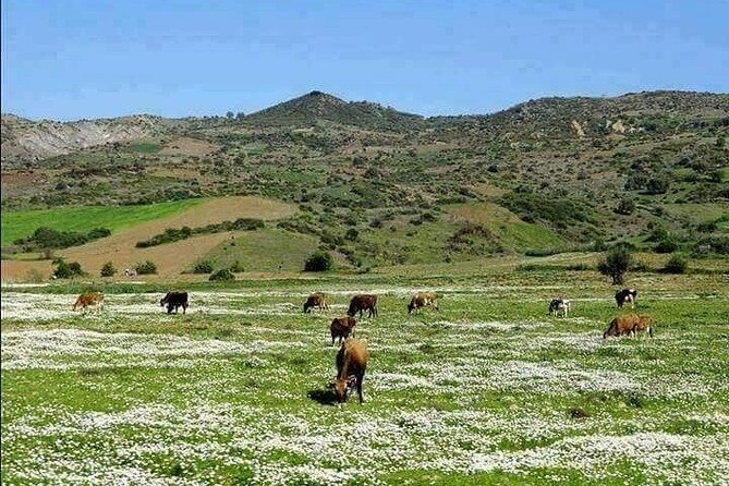 4-Day Valleys and Villages Private Guided Tour From Marrakech - Pricing Details
